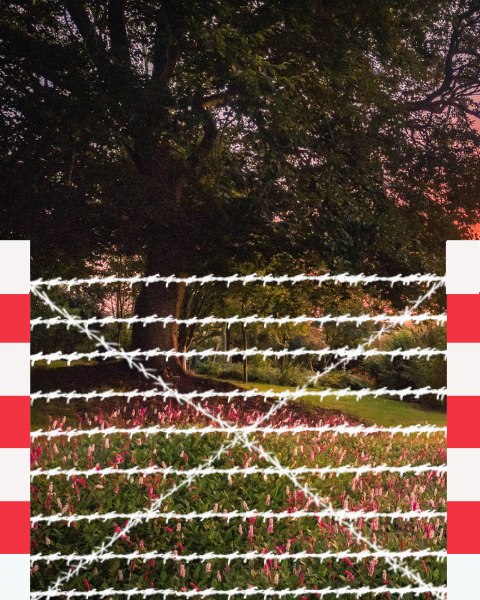 fencing cross wire