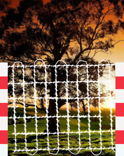 fencing contractor in chennai