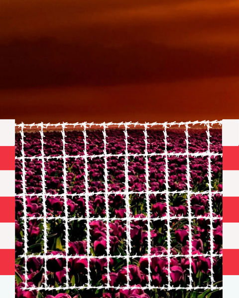 fencing rectangle wire